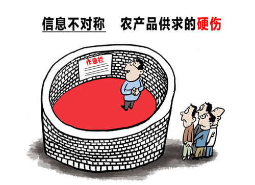 信息对称 农村电商与互联网销售的必行之路